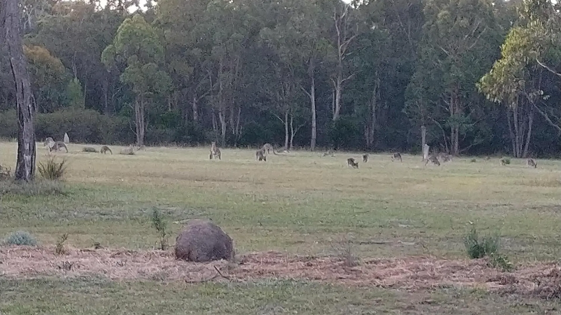 Earth & Soul Retreat Villa Cannon Creek  Australia